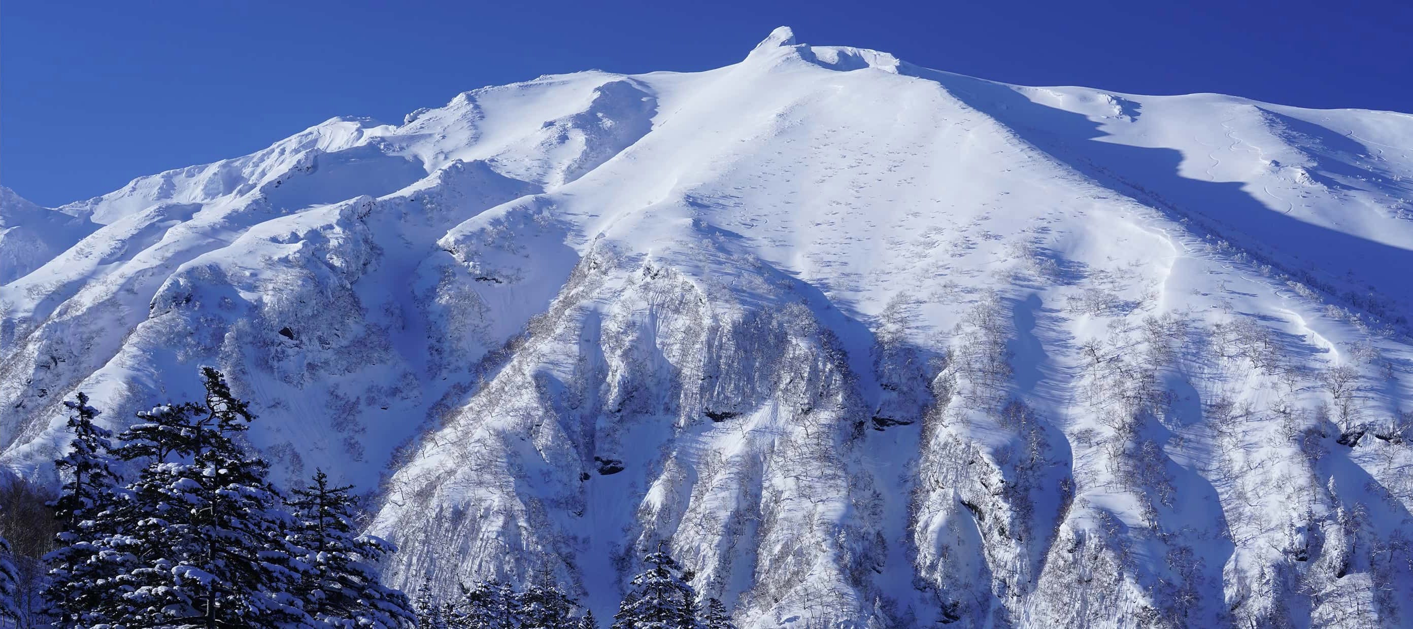 Sony FE 70-300mm f:4.5-5.6 G OSS 2